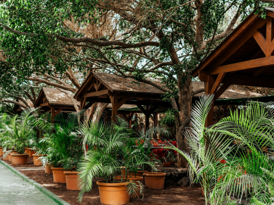 El Rancho de Nino