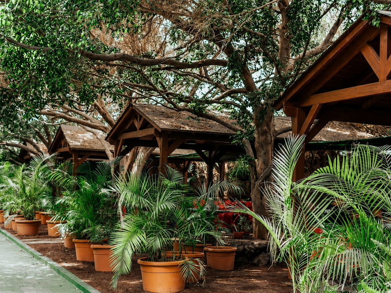 El Rancho de Nino