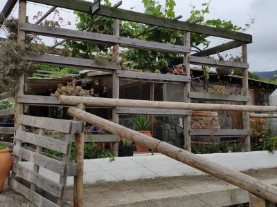 Guachinche Bodega La Suertita