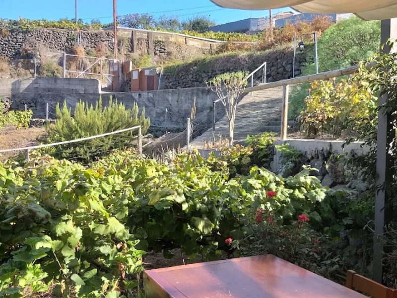 Guachinche Bodega La Suertita