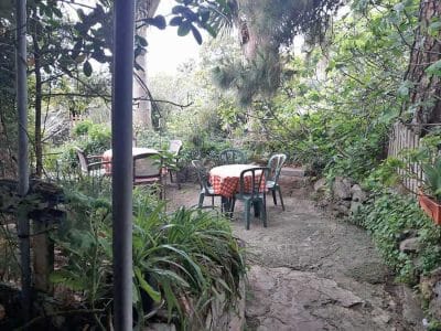 Guachinche Finca El Pino