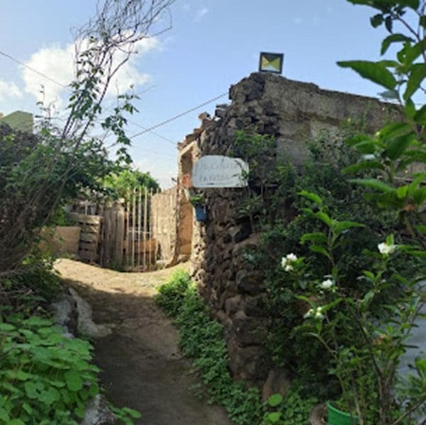 Guachinche Finca El Pino